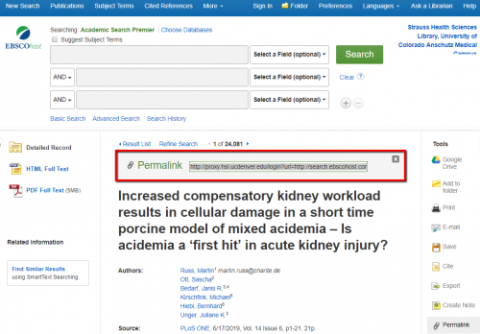 Article record page in EBSCO with article Permalink ready to be copied.