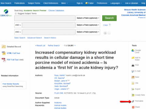 Article record page showing EBSCO tolls with an arrow pointing to Permalink.