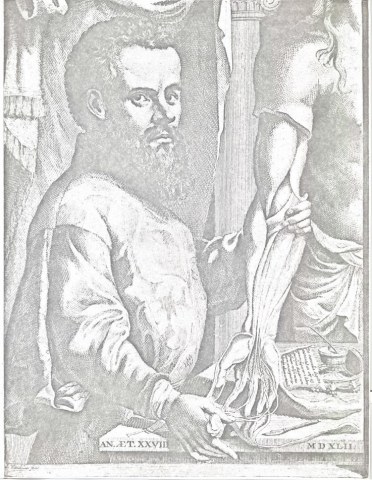 A copy of a portrait of Vesalius from De humani corporis fabrica