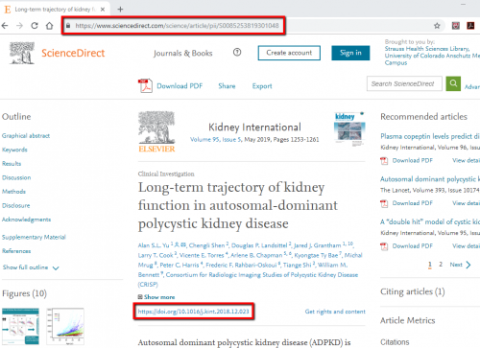 Article record in Science Direct showing the URL and the DOI circled.