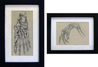 The Hand and The Foot - Pencil sketches by Jamie Stefanich