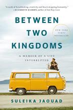 Between Two Kingdoms bookcover featuring a woman with a small white dog sitting on top of a yellow Volkswagen van.